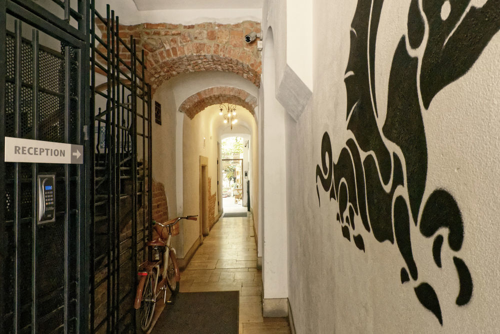 Only Kraków